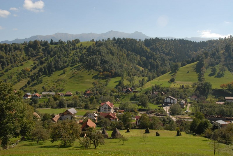 Transylvanian Countryside